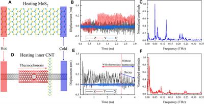Thermoelectric Conversion From Interface Thermophoresis and Piezoelectric Effects